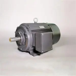 Low Voltage 3-Phase Asynchronous Motor With Cast Iron Housing