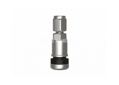 Light Truck & passenger Car Valves