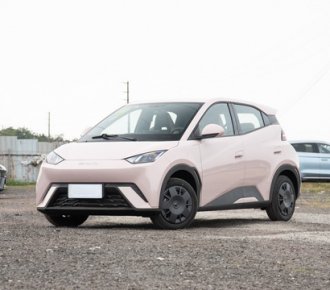 BYD Seagull 2024 Vitality Electric Car 305km Glory Style EV