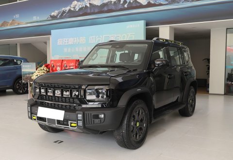 Jetour Shanhai T2 2024 C-DM 206KM four-wheel-drive mountain version