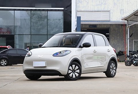 WULING Bingo 333km Enjoy Electric Car