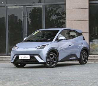 New Hot-selling electric car BYD Seagull 305km  Free Edition Electric Car