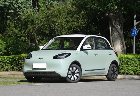 Wuling Bingo 2024 410km Lingxi Premium Edition