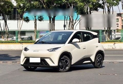 BYD Seagull 2025 405km Flying Edition EV for Sale