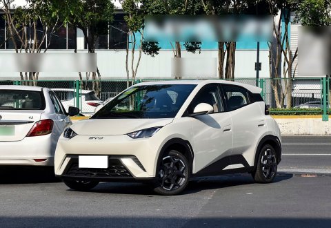 Hot-Selling BYD Seagull 2025 305km Free Edition in Stock