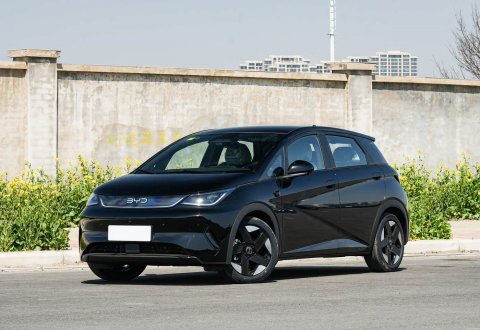 BYD Dolphin 2025 Intelligent Driving Edition 520km Knight Edition