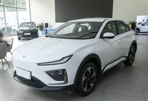 NETA X 2025 500 Air for Sale