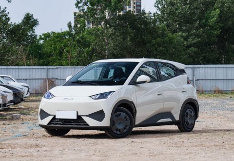 BYD Seagull 2025 Intelligent Driving Edition 305km Vitality Edition