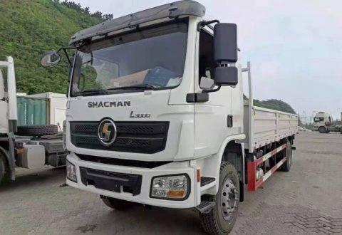 SHACMAN L3000 4x2 Lorry Cargo Truck for Sale